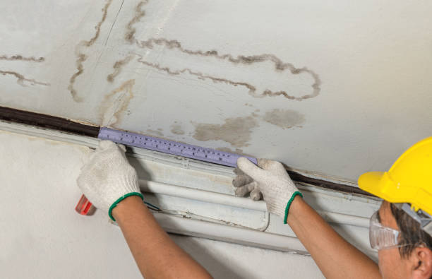 Reliable Sewage Cleanup contractor in De Beque, CO by Water Damage Irwin